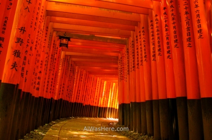 Túnel formado por múltiples toriis en el Fushimi Inari Taisha, Kioto