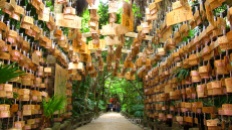 Precioso túnel de tablillas de madera Ema en el santuario de Aoshima