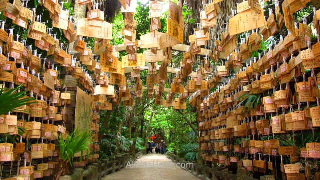 MIYAZAKI 0. Tablillas de madera Ema en el santuario de Aoshima, Kyushu, Japon. wooden tablets in Sanctuary Japan