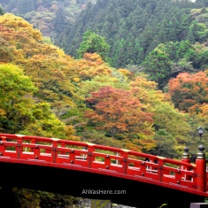 El puente Shinkyo en Nikko, con el bosque otoñal al fondo