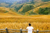 En el mirador Music from Paradise, terrazas de arroz en Dazhai, Longji, Longsheng, Guilin, China