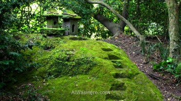 Rincón cubierto de musgo en el jardín Senganen, Kagoshima