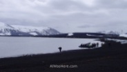 Una lancha zodiac desembarcando junto a un grupo de pingüinos barbijos en Bahía de los Balleneros