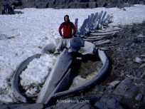 Con un esqueleto de ballena en Port Lockroy, Antártida